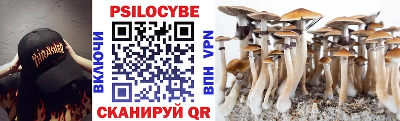 Галлюциногенные грибы Psilocybe сколько стоит Мосальск